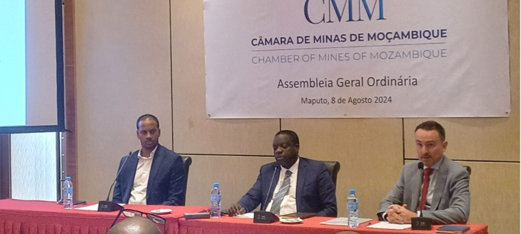 Mozambique: Strategic Mining Companies React to Risks of New Law
